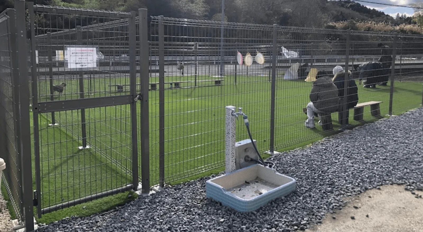 タダノイヌヅキ