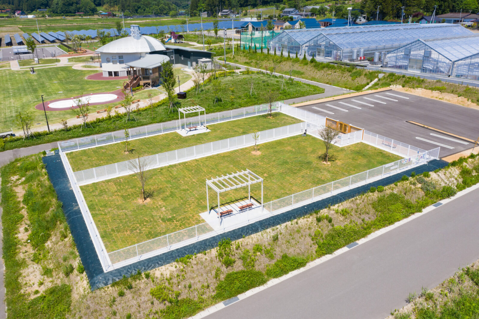 わんこの庭 のびのび