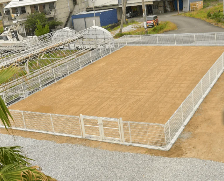 オリーブ・ハウス