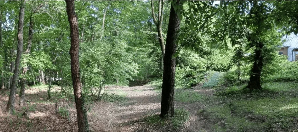 ルビーガーデン ハッピーワン