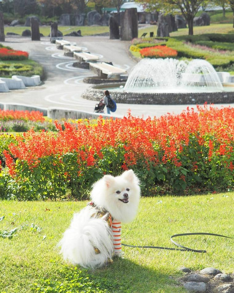 国営みちのく杜の湖畔公園
