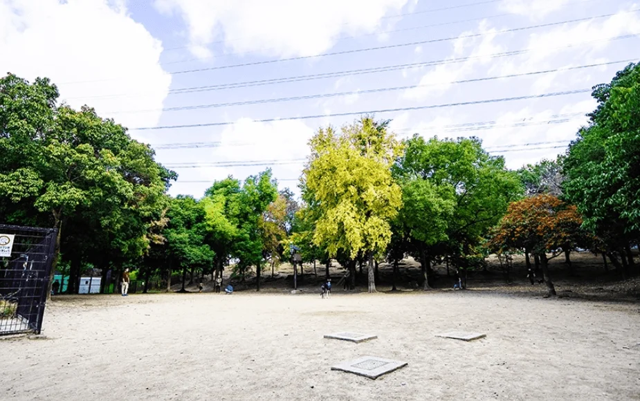 深北緑地ドッグラン