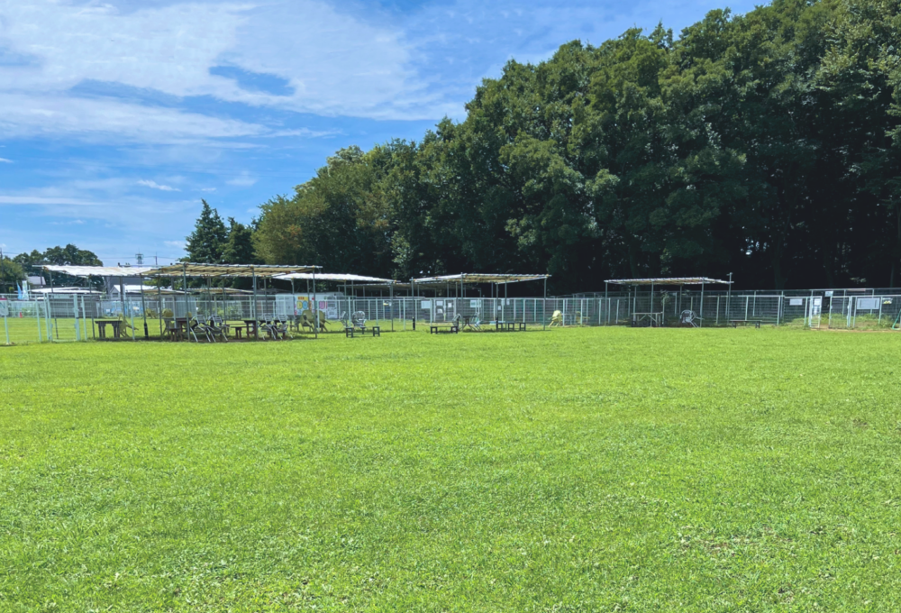 新京成ドッグラン松戸