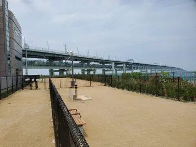 りんくう中央公園ドッグラン