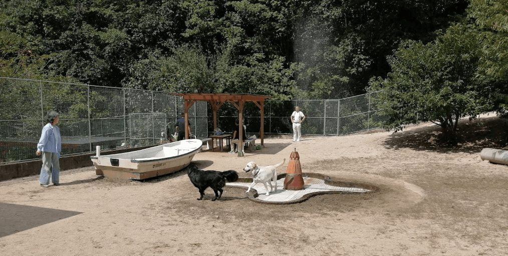 ドッグラン廿日市