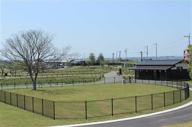 水郷佐原あやめパークドッグラン