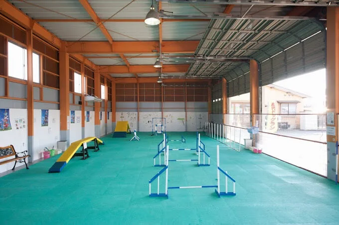 ワイズドギー 富山店