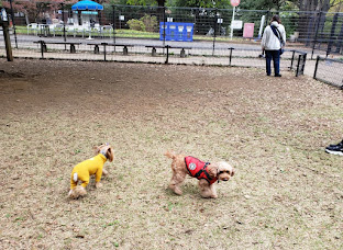 武蔵川公園 ドッグラン