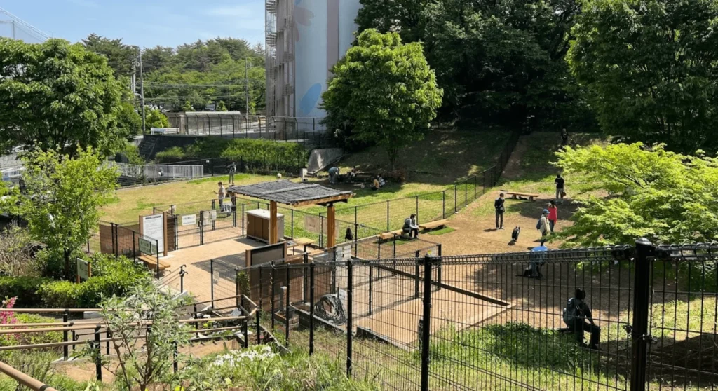 桜が丘公園 ドッグラン