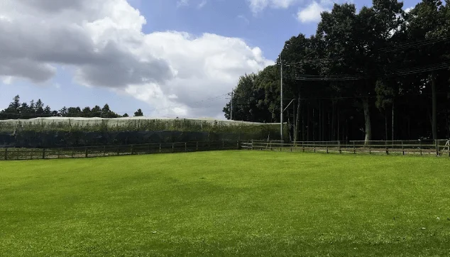 つくば犬たちの森ドッグラン・キャンプ場