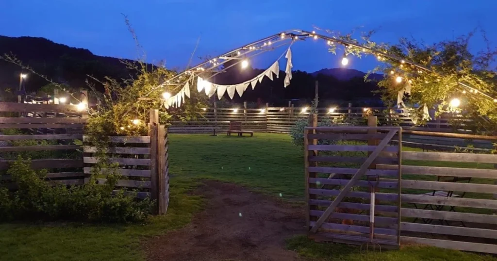 バンクフィールドプラスドッグ