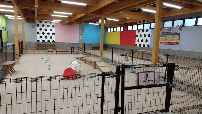 ドッグアミューズメント ナイン