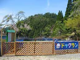 郡上八幡 美山鍾乳洞 ドッグラン