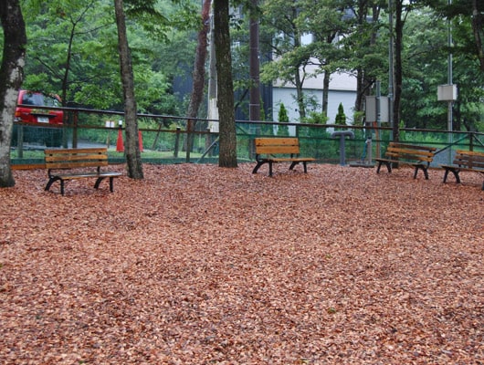 カーロ・フォレスタ ドッグラン