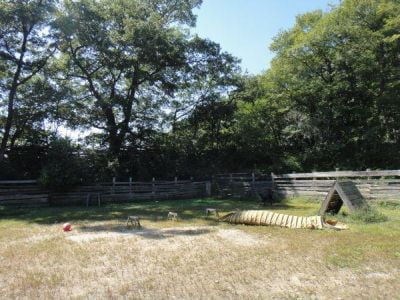 ひょうごアニマルサークル わんわんパーク