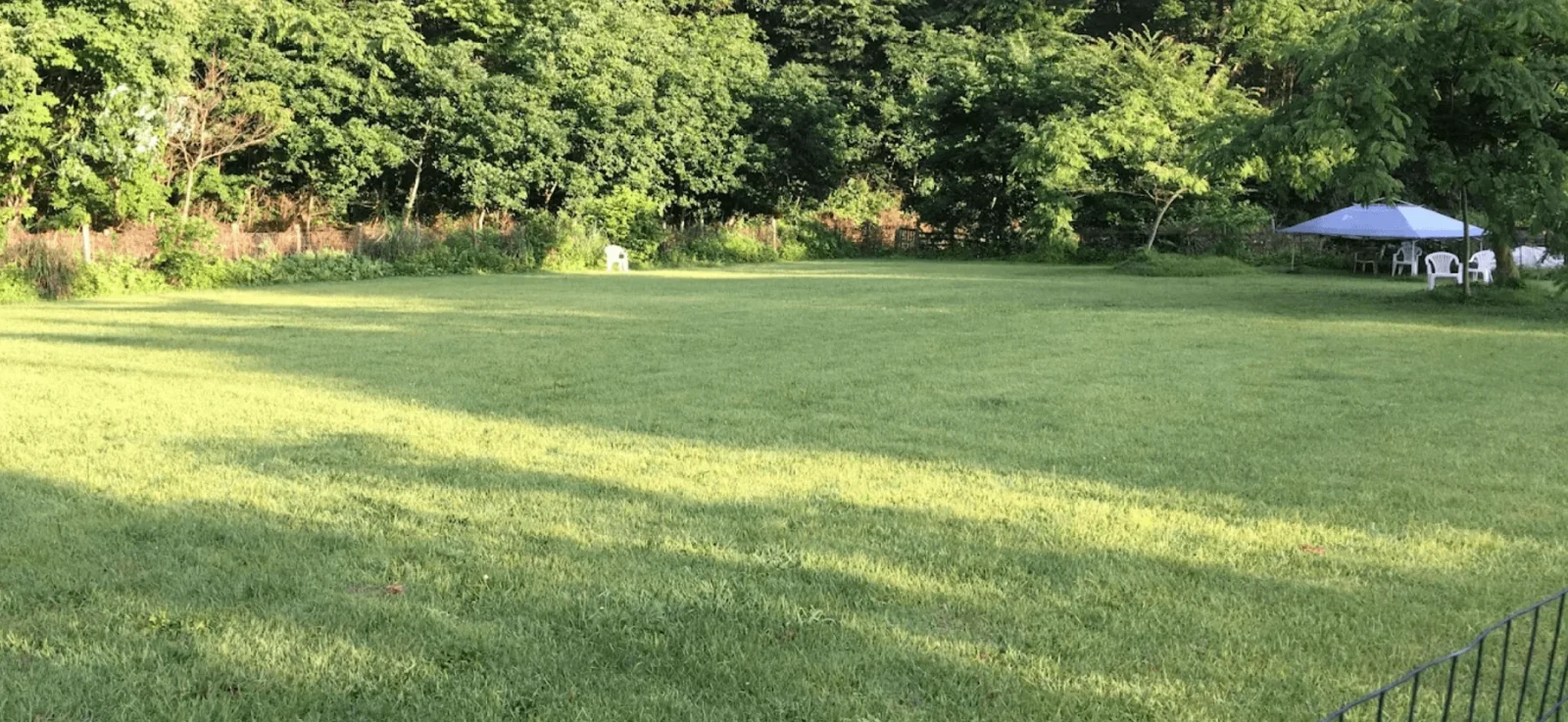 ドッグラン＆カフェ fundogs