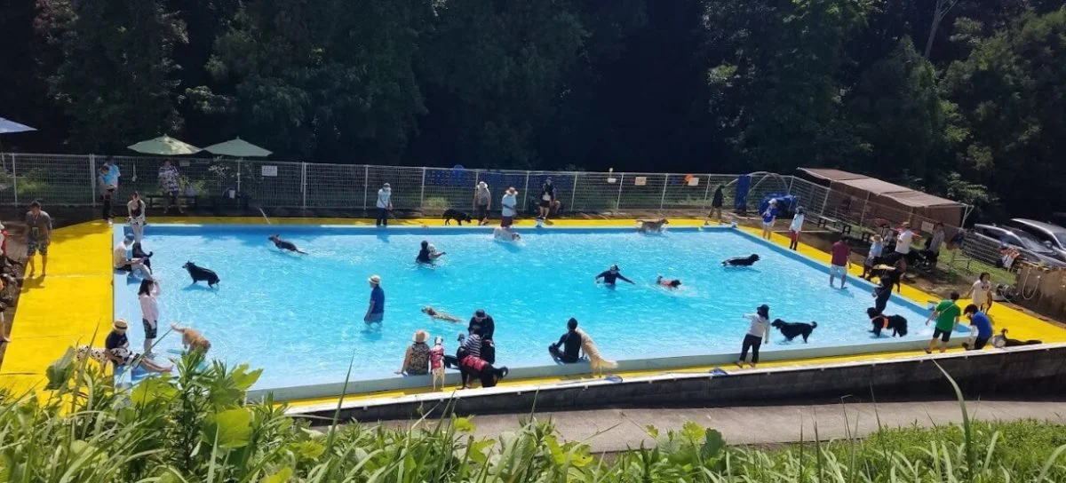 ドッグランひぬま