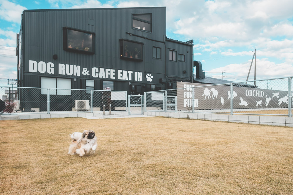 ORCHID DOG〜cafe&run〜(オーキッド)