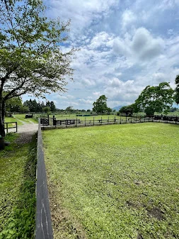 Field Dogs Garden（フィールドドッグガーデン）