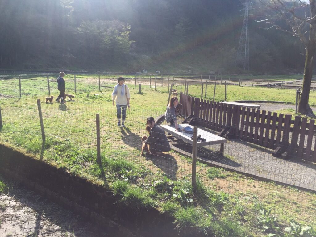 道の駅 瀬女 ドッグラン