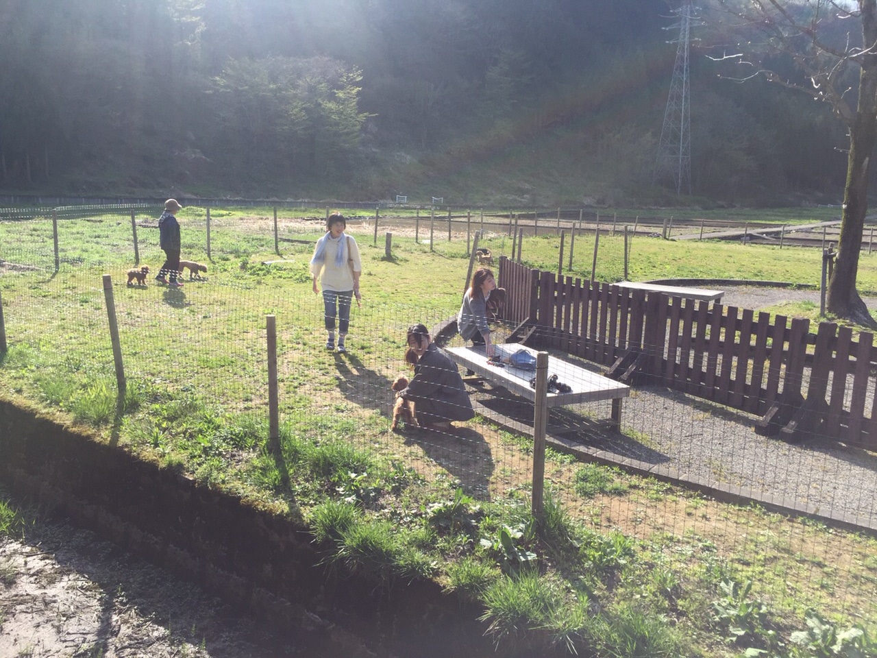 道の駅 瀬女 ドッグラン