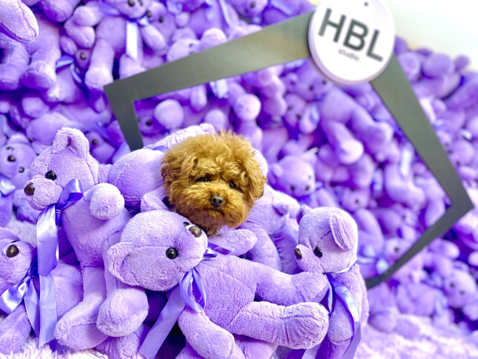 HanBunLong studio（ハンブンロングスタジオ）