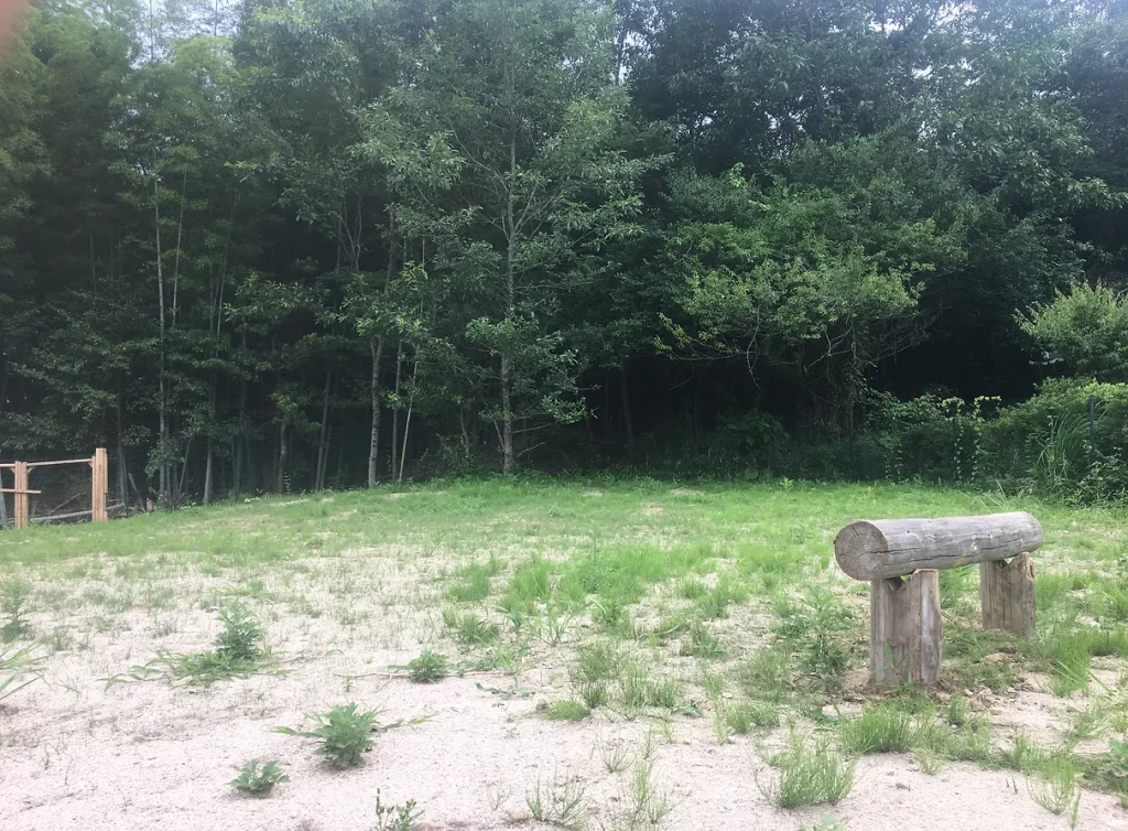 木の村withオフ 無人セルフカフェ・ドッグラン・ゲストハウス