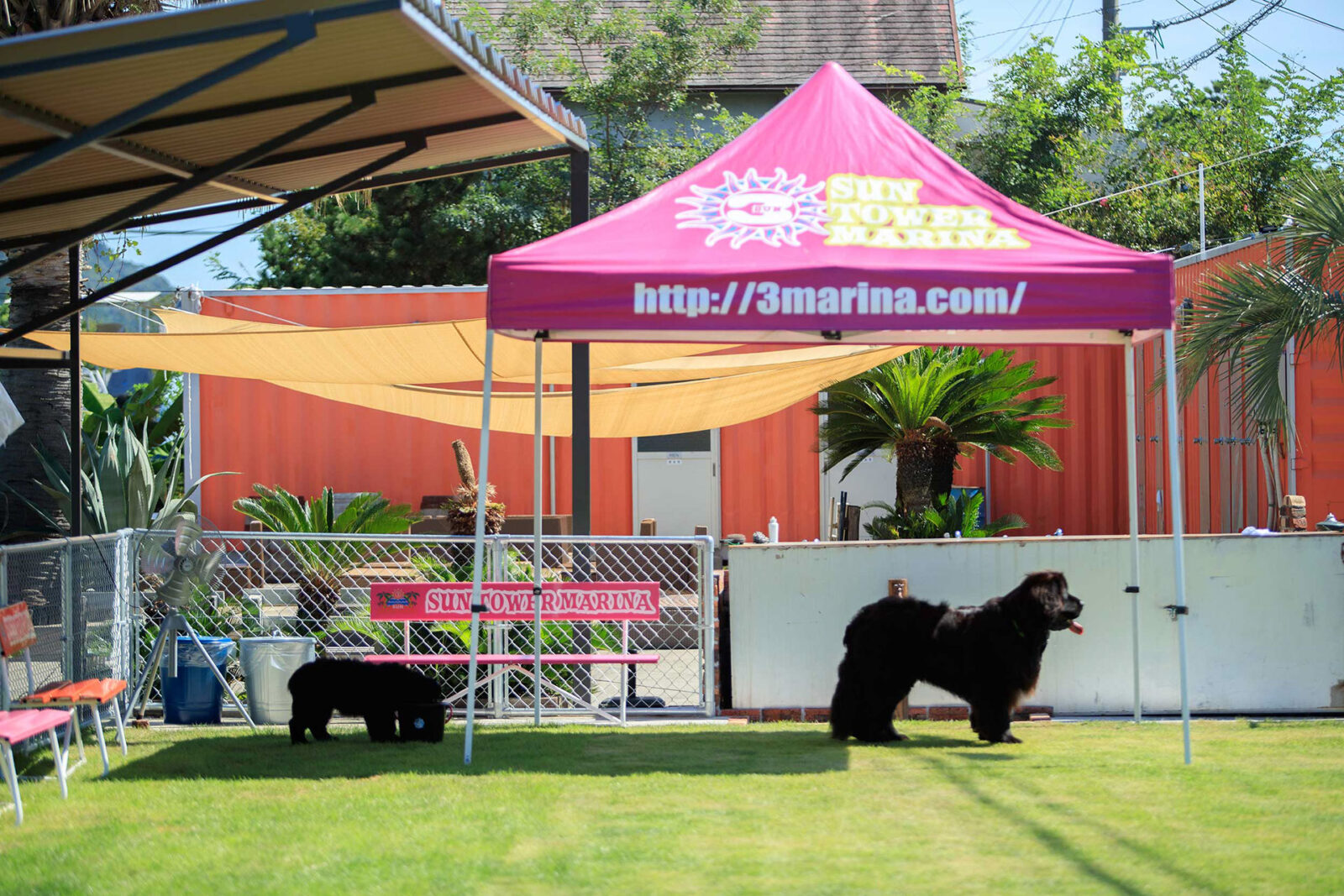 サンタワーマリーナドッグラン