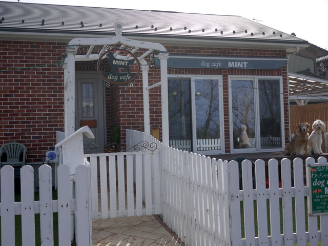 Dog Cafe Mint(ドッグカフェミント)