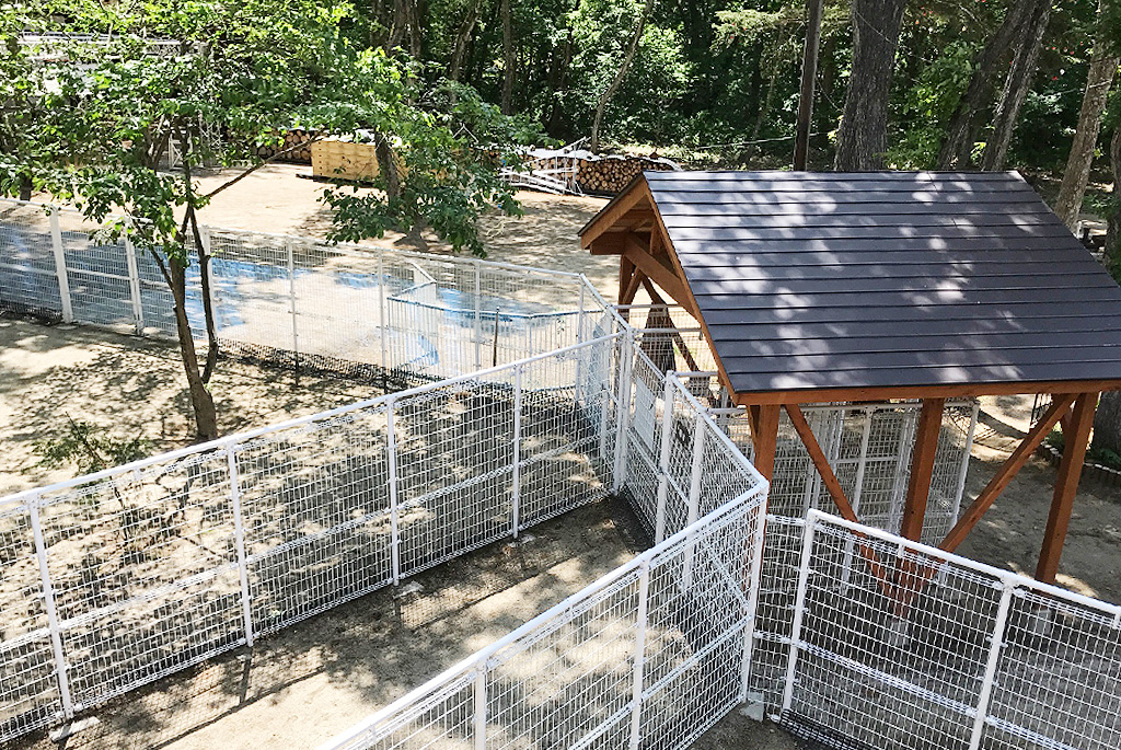 Run＆cafe 磐梯スノーDogs（ドッグラン）