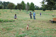 国営備北丘陵公園 みのりの里ドッグラン