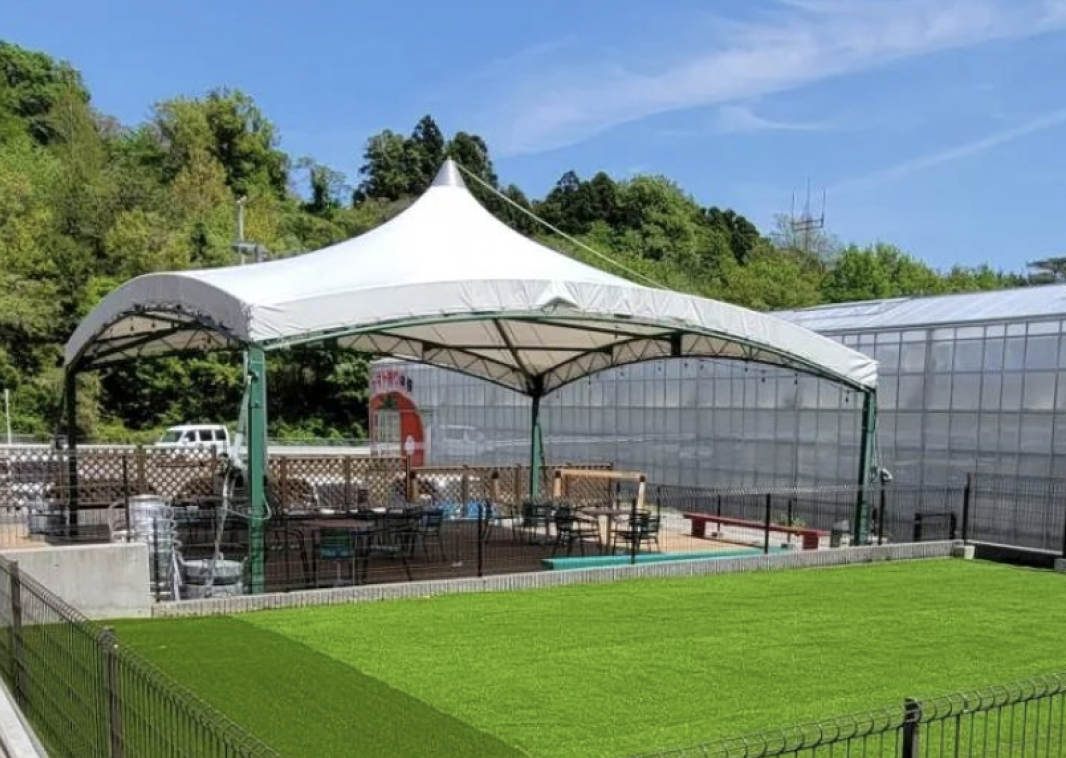 ワンダーファーム