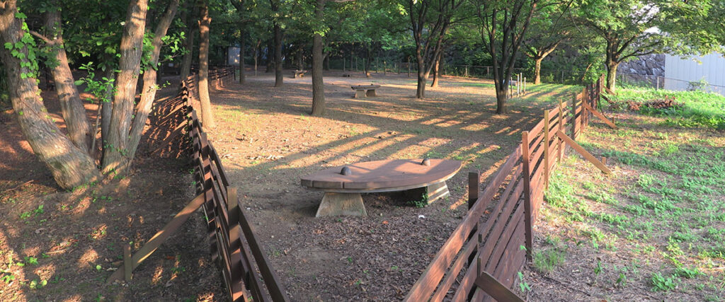 森林公園 金川の森