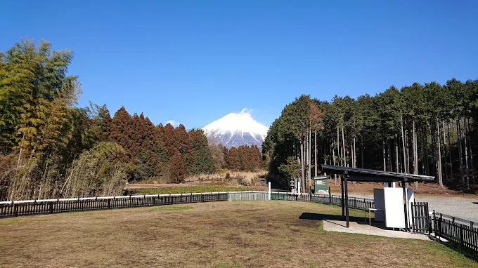 ドッグラン石原