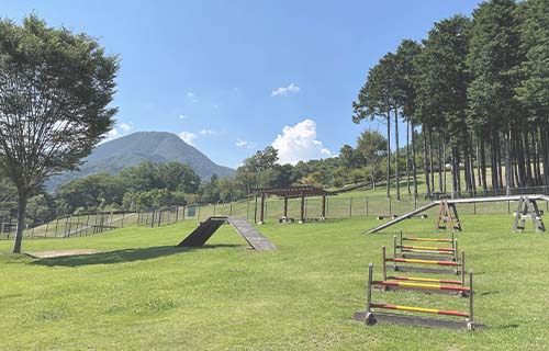 桂川ウェルネスパーク