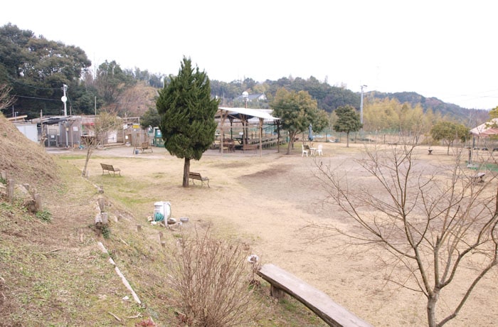 DOGCOM.Park（ドッグコムパーク）