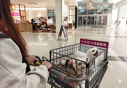 img-facility_item2-1