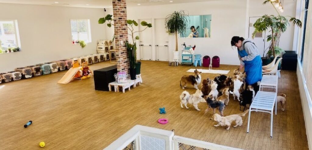 2WanHappy（トゥーワンハッピー）