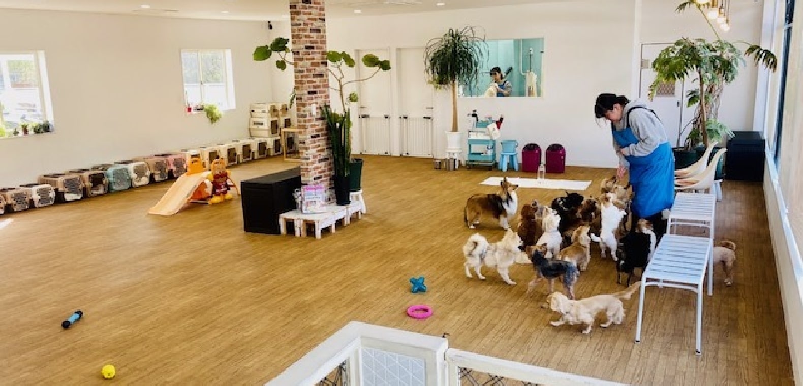 2WanHappy（トゥーワンハッピー）