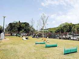 牧之原サービスエリア上りドッグラン