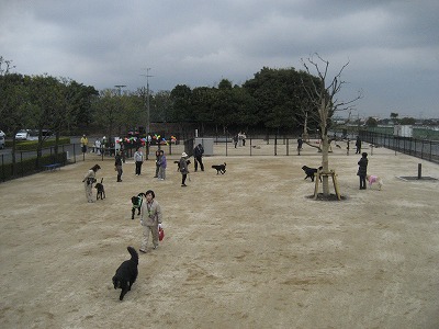 そうか公園ドッグラン