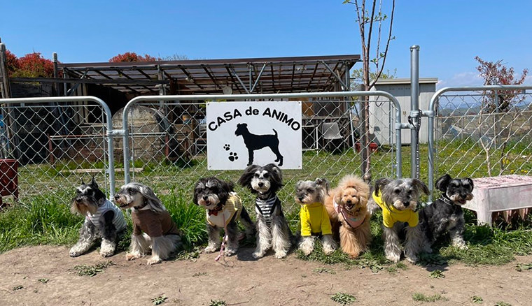 CASA DE ANIMO（カーサデアニモ）