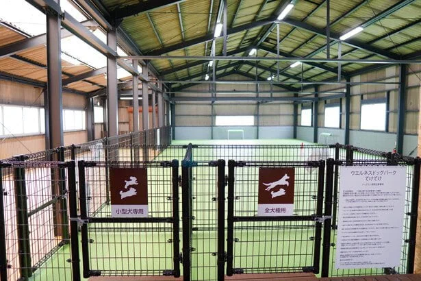 ウェルネスドッグパーク てけてけ