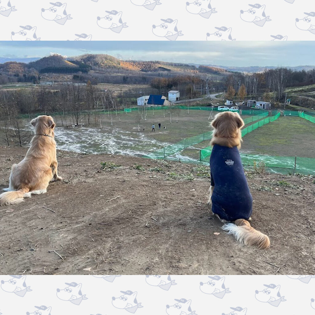 ドッグラン うるの丘