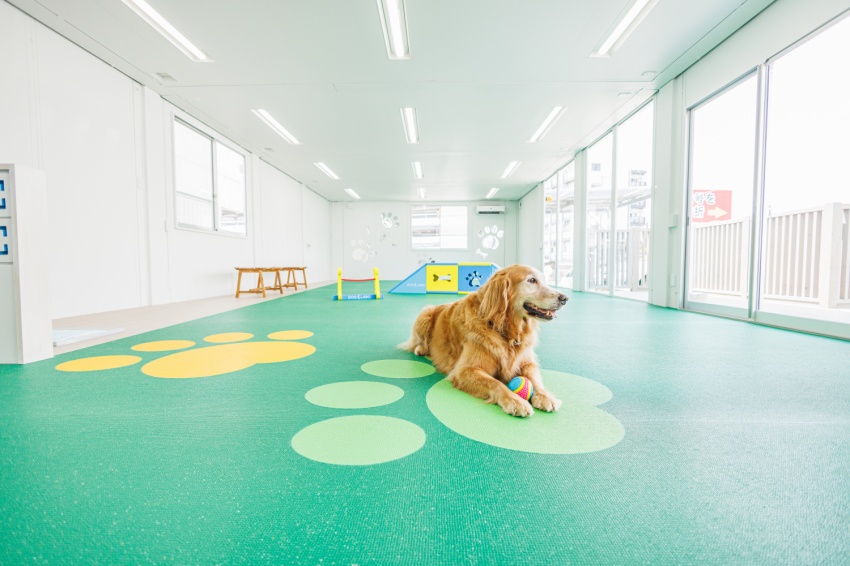 Wan.brella (ワンブレラ)