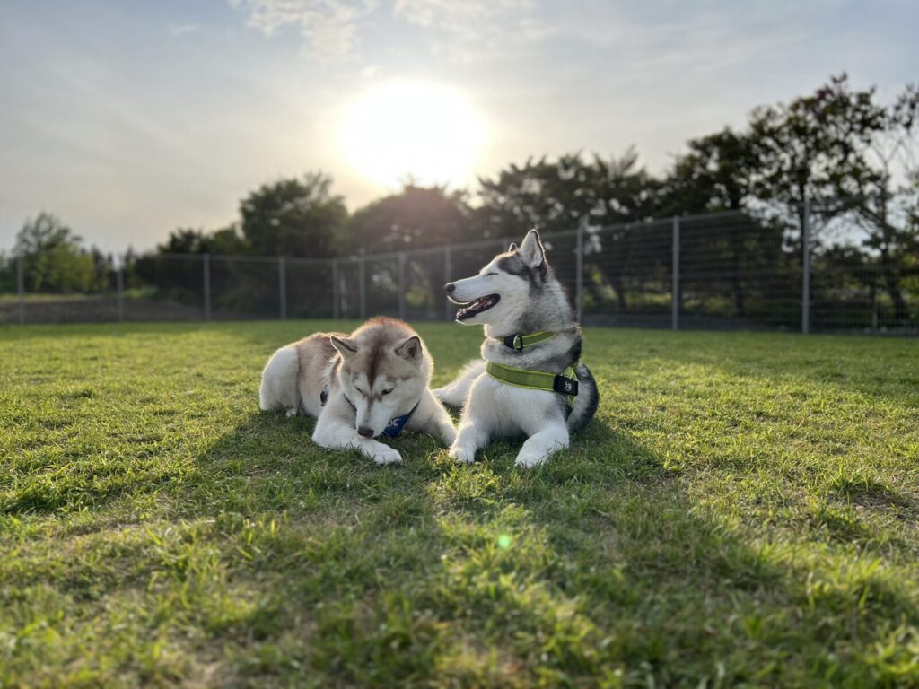 352482849_648926349954945_3313953974382125731_n