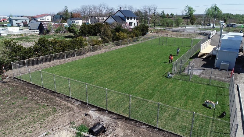 o0959053915280474717