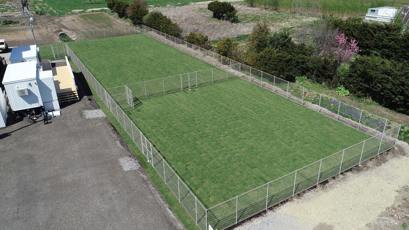 o1440081215280474708