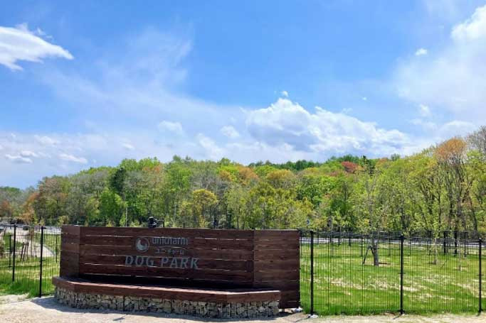 V3Trz2KtaTlro2dW9y2L6e0e2uiiRf93ZAahFCaz