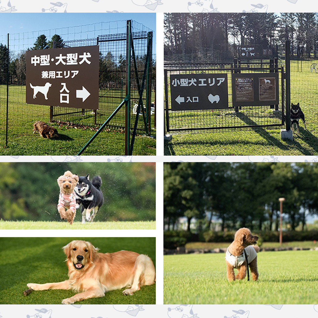 札内ガーデンスパドッグラン